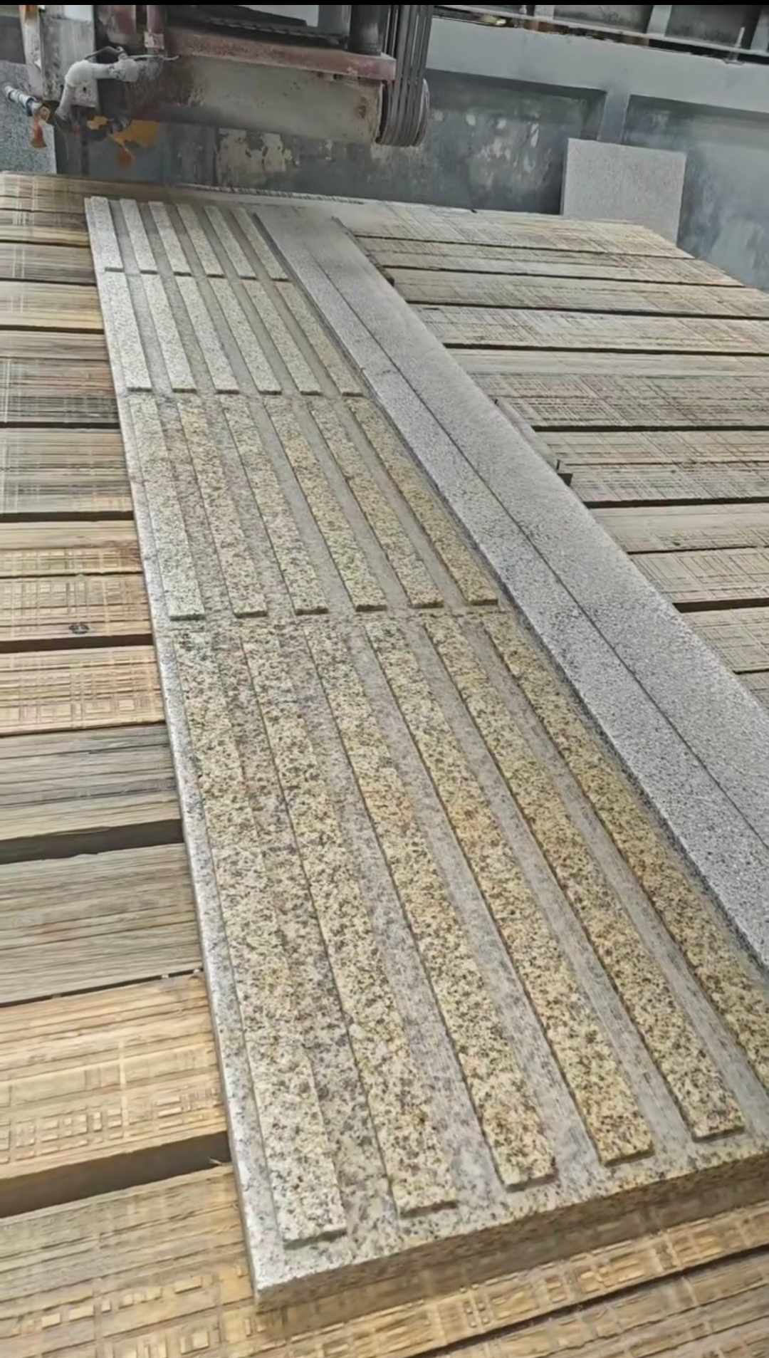 临沧黄金麻盲道石 盲条